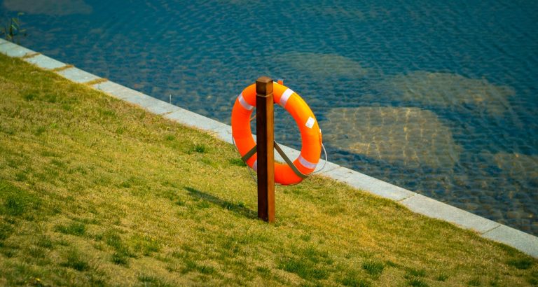 pexels-laotie-miao-16455806